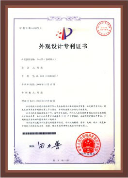 Design patent certificate (8)